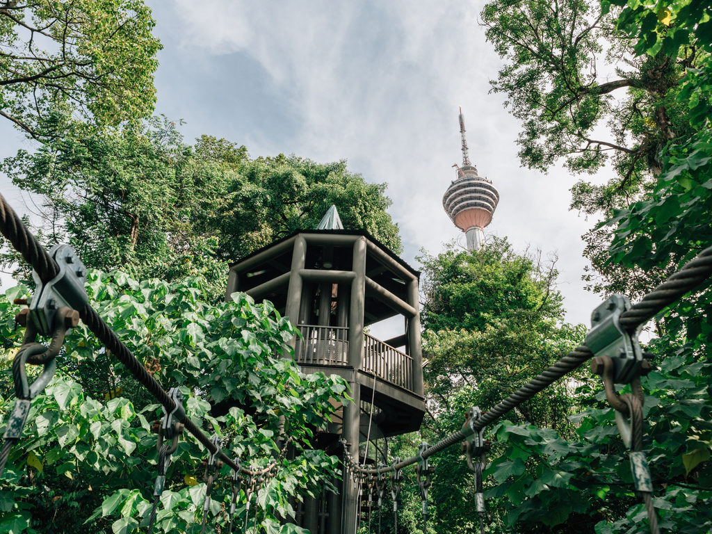 View of the KL Tower from Bukit Nanas